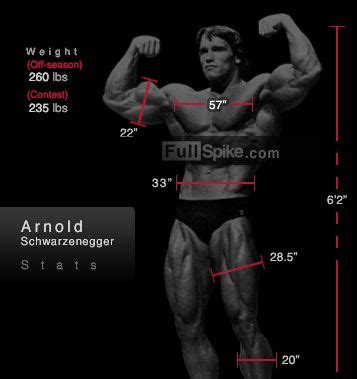 arnold schwarzenegger biceps measurement